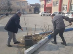 کاشت نهال به مناسبت روز درختکاری در آموزشکده فنی و حرفه‌ای دختران ارومیه
 2