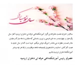 تبریک سال نو 2